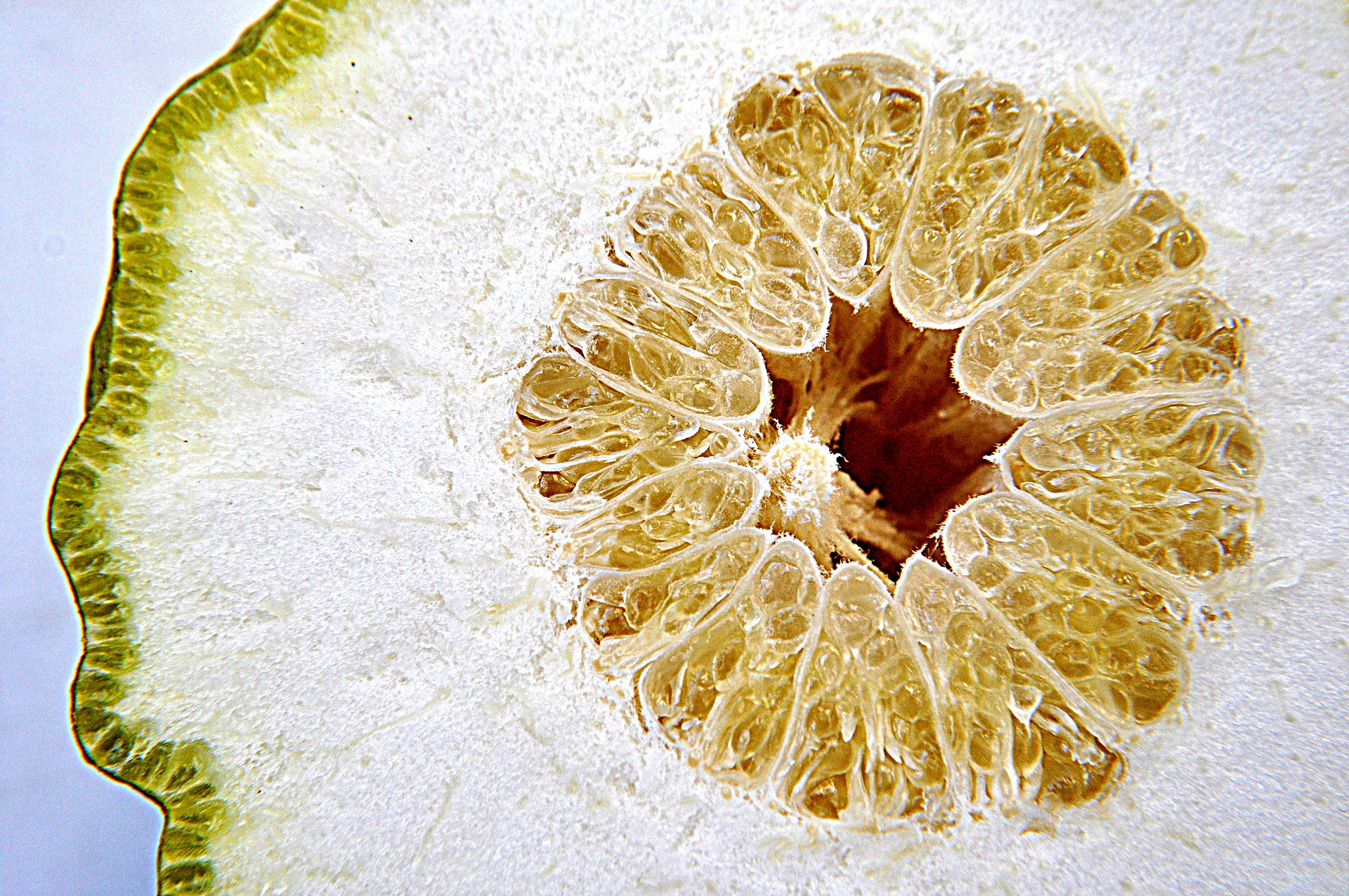 Buccia di limone in cucina: 3 idee di iricette