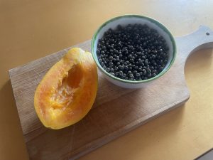 Ciotola di semi di papaya – Riciblog